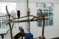 /album/onze-uilen/a12545983-1002323453159227-86111107-o-jpg/