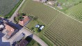 /album/fotogalerij-uilen-bloesemwandeling/dji-0040-jpg1/