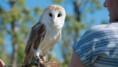 /album/fotogalerij-uilen-bloesemwandeling/a57434118-666188167135568-5003654865688199168-n-jpg/