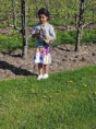 /album/fotogalerij-uilen-bloesemwandeling/a57620719-10213773678240645-1912976436478607360-n-jpg/