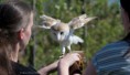 /album/fotogalerij-uilen-bloesemwandeling/a57484482-666188400468878-1300571682695544832-n-jpg/