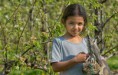 /album/fotogalerij-uilen-bloesemwandeling/a57710756-666188527135532-460892322058469376-n-jpg/