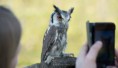 /album/fotogalerij-uilen-bloesemwandeling/a57411726-666188540468864-3345362022698057728-n-jpg/