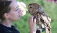 /album/fotogalerij-uilen-bloesemwandeling/a57593698-490030858200541-741446230147596288-n-jpg/