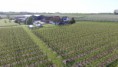 /album/fotogalerij-uilen-bloesemwandeling/dji-0032-jpg/
